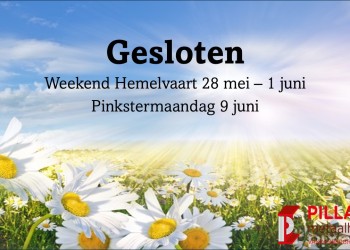 Hemelvaartsdag